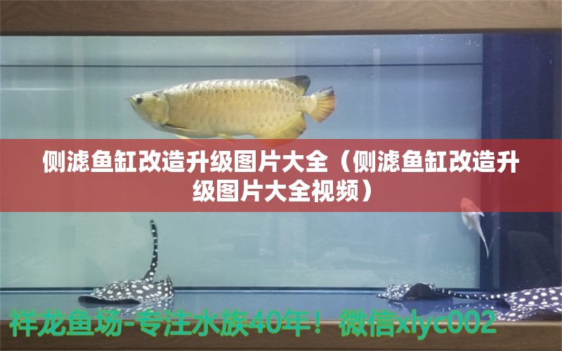 側濾魚缸改造升級圖片大全（側濾魚缸改造升級圖片大全視頻）