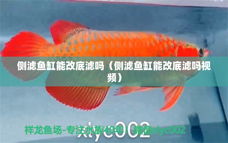 側(cè)濾魚缸能改底濾嗎（側(cè)濾魚缸能改底濾嗎視頻）