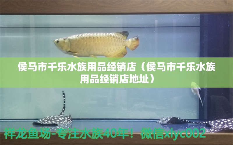 侯馬市千樂水族用品經(jīng)銷店（侯馬市千樂水族用品經(jīng)銷店地址） 水族用品