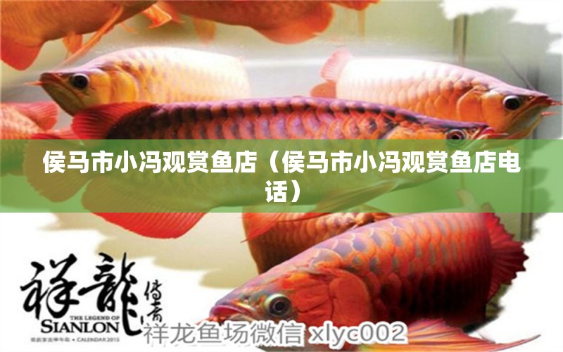 侯馬市小馮觀賞魚店（侯馬市小馮觀賞魚店電話）