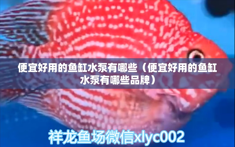 便宜好用的魚(yú)缸水泵有哪些（便宜好用的魚(yú)缸水泵有哪些品牌）