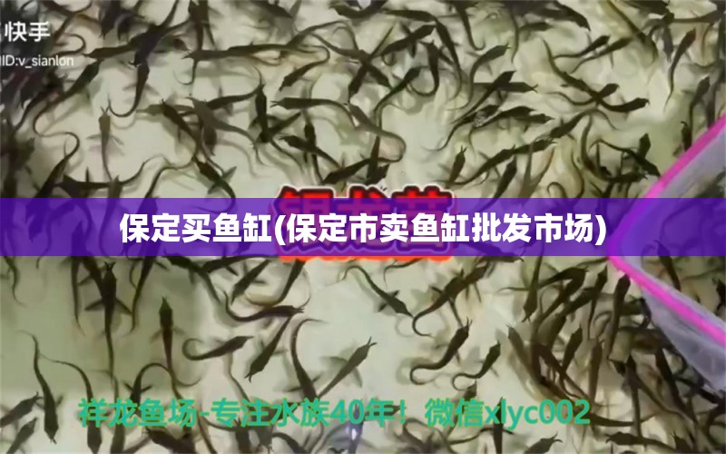 保定買魚缸(保定市賣魚缸批發(fā)市場(chǎng)) 熊貓異形魚L46