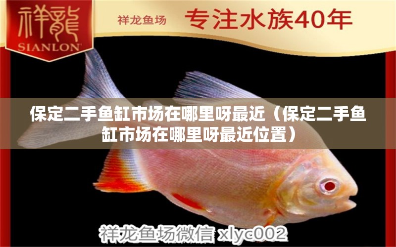 保定二手魚缸市場在哪里呀最近（保定二手魚缸市場在哪里呀最近位置）