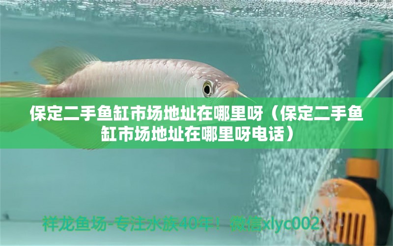 保定二手魚缸市場地址在哪里呀（保定二手魚缸市場地址在哪里呀電話） 孵化器