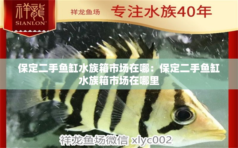 保定二手魚缸水族箱市場在哪：保定二手魚缸水族箱市場在哪里