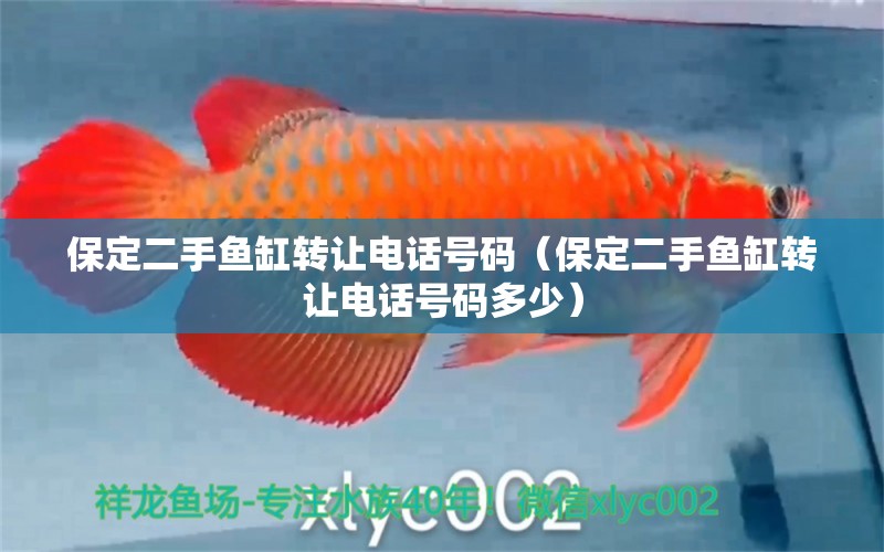 保定二手魚缸轉(zhuǎn)讓電話號碼（保定二手魚缸轉(zhuǎn)讓電話號碼多少）