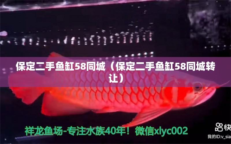 保定二手魚缸58同城（保定二手魚缸58同城轉(zhuǎn)讓）