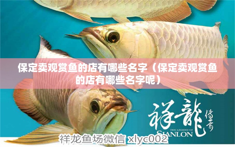 保定賣觀賞魚的店有哪些名字（保定賣觀賞魚的店有哪些名字呢）