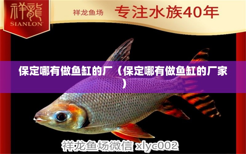 保定哪有做魚缸的廠（保定哪有做魚缸的廠家） 其他品牌魚缸