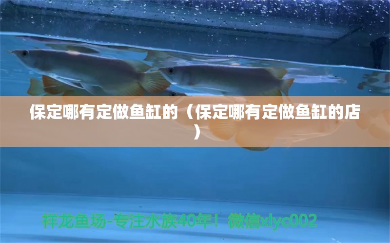 保定哪有定做魚缸的（保定哪有定做魚缸的店）