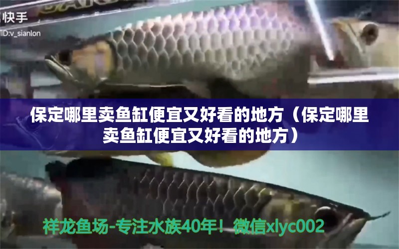 保定哪里賣魚缸便宜又好看的地方（保定哪里賣魚缸便宜又好看的地方）