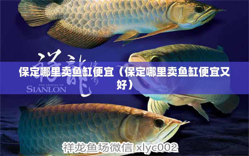 保定哪里賣魚缸便宜（保定哪里賣魚缸便宜又好）