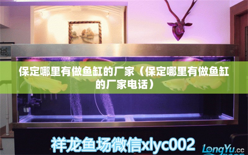 保定哪里有做魚缸的廠家（保定哪里有做魚缸的廠家電話） 其他品牌魚缸