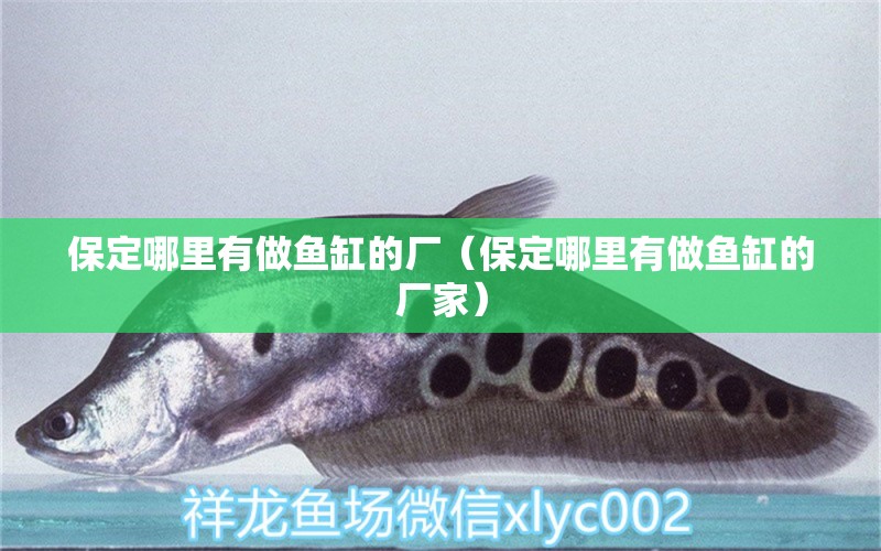 保定哪里有做魚缸的廠（保定哪里有做魚缸的廠家）