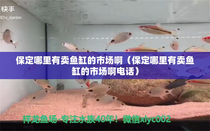 保定哪里有賣(mài)魚(yú)缸的市場(chǎng)啊（保定哪里有賣(mài)魚(yú)缸的市場(chǎng)啊電話）