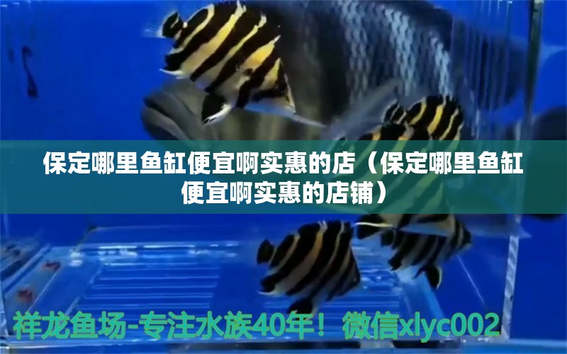 保定哪里魚缸便宜啊實惠的店（保定哪里魚缸便宜啊實惠的店鋪） 祥龍水族醫(yī)院