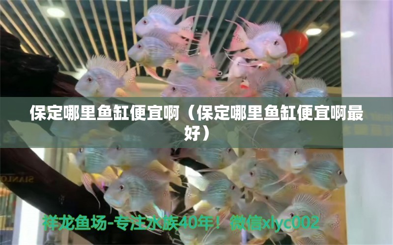 保定哪里魚(yú)缸便宜啊（保定哪里魚(yú)缸便宜啊最好） 其他品牌魚(yú)缸