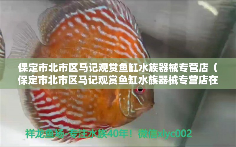 保定市北市區(qū)馬記觀賞魚缸水族器械專營店（保定市北市區(qū)馬記觀賞魚缸水族器械專營店在哪） 全國水族館企業(yè)名錄