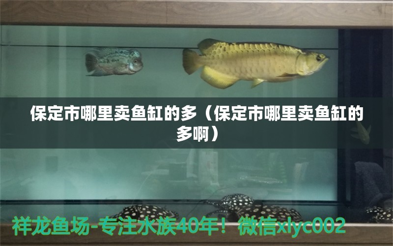 保定市哪里賣魚缸的多（保定市哪里賣魚缸的多?。? title=