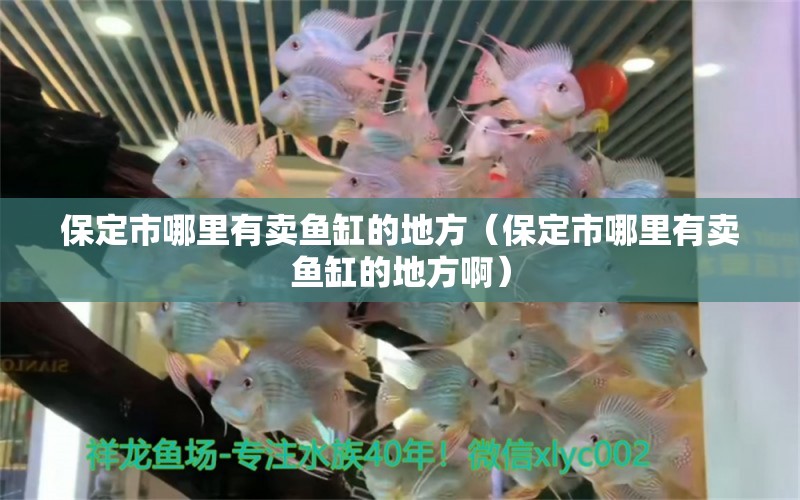 保定市哪里有賣魚缸的地方（保定市哪里有賣魚缸的地方?。? title=