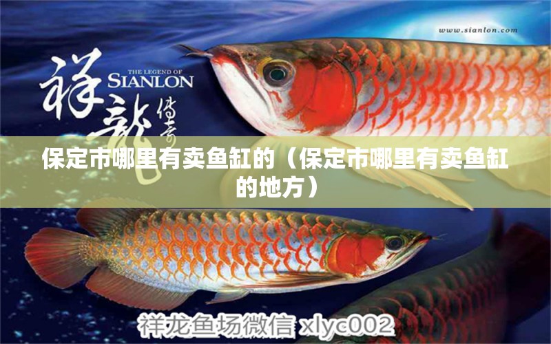 保定市哪里有賣魚缸的（保定市哪里有賣魚缸的地方）