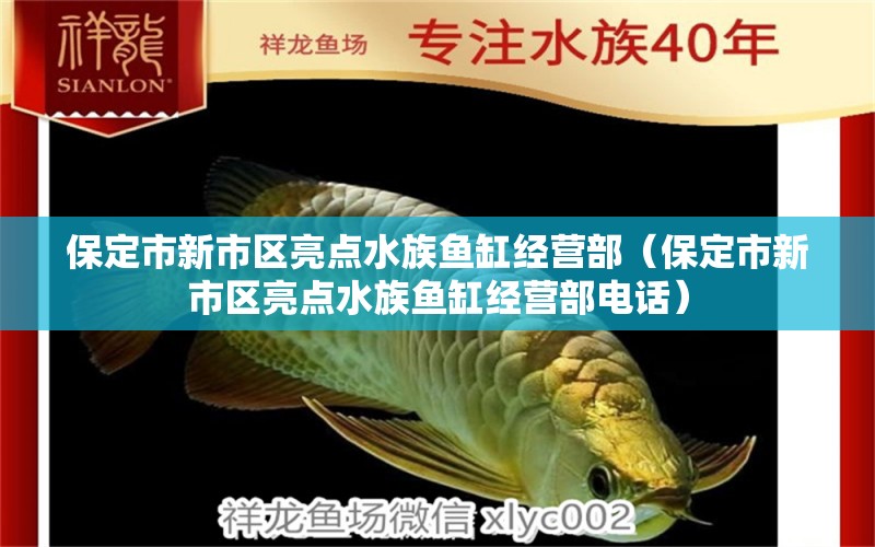 保定市新市區(qū)亮點(diǎn)水族魚缸經(jīng)營部（保定市新市區(qū)亮點(diǎn)水族魚缸經(jīng)營部電話）