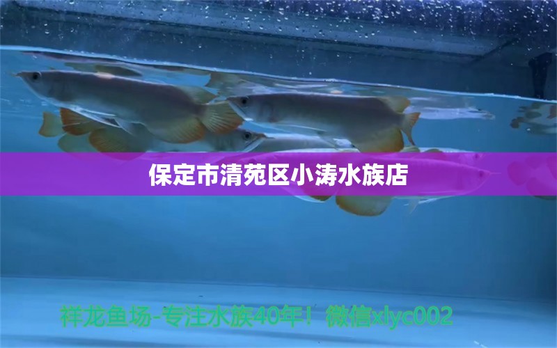 保定市清苑區(qū)小濤水族店