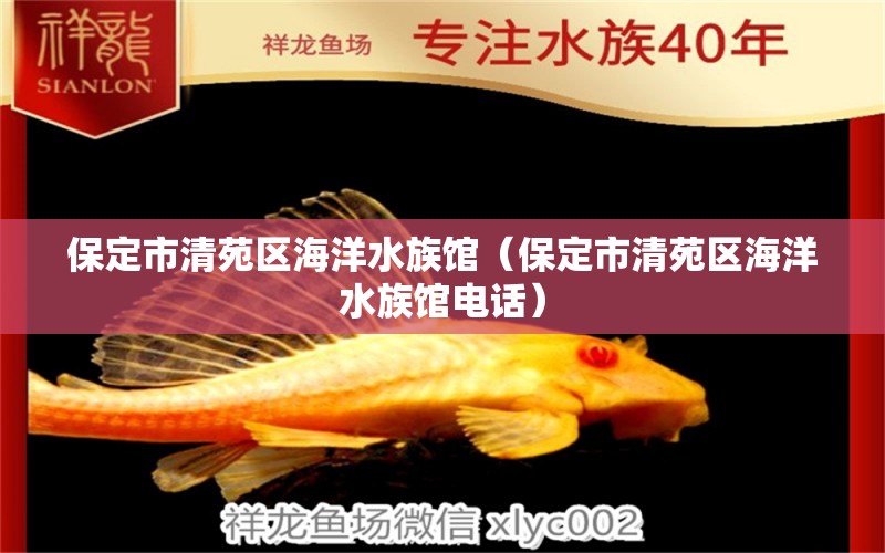 保定市清苑區(qū)海洋水族館（保定市清苑區(qū)海洋水族館電話）