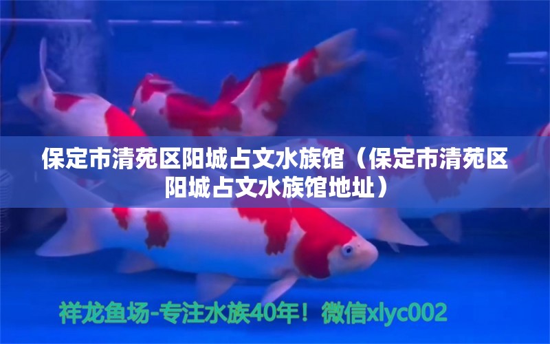 保定市清苑區(qū)陽(yáng)城占文水族館（保定市清苑區(qū)陽(yáng)城占文水族館地址） 全國(guó)水族館企業(yè)名錄