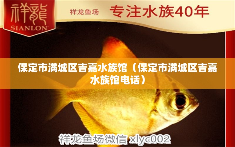 保定市滿城區(qū)吉嘉水族館（保定市滿城區(qū)吉嘉水族館電話）