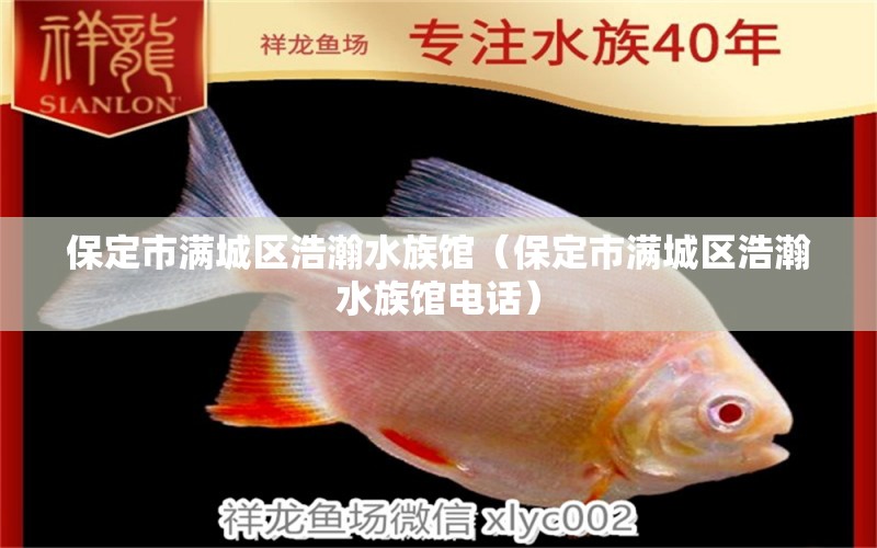 保定市滿城區(qū)浩瀚水族館（保定市滿城區(qū)浩瀚水族館電話）