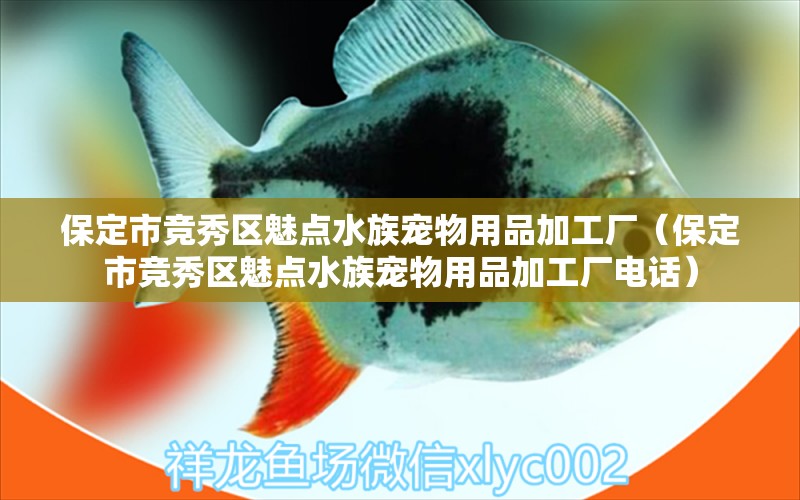 保定市競秀區(qū)魅點水族寵物用品加工廠（保定市競秀區(qū)魅點水族寵物用品加工廠電話）