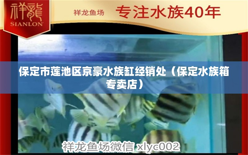 保定市蓮池區(qū)京豪水族缸經(jīng)銷(xiāo)處（保定水族箱專(zhuān)賣(mài)店）