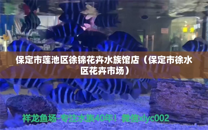 保定市蓮池區(qū)徐錦花卉水族館店（保定市徐水區(qū)花卉市場） 全國水族館企業(yè)名錄