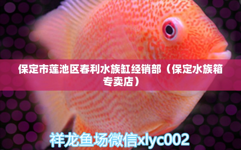 保定市蓮池區(qū)春利水族缸經(jīng)銷(xiāo)部（保定水族箱專(zhuān)賣(mài)店）