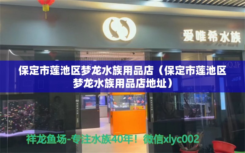 保定市蓮池區(qū)夢龍水族用品店（保定市蓮池區(qū)夢龍水族用品店地址） 水族用品