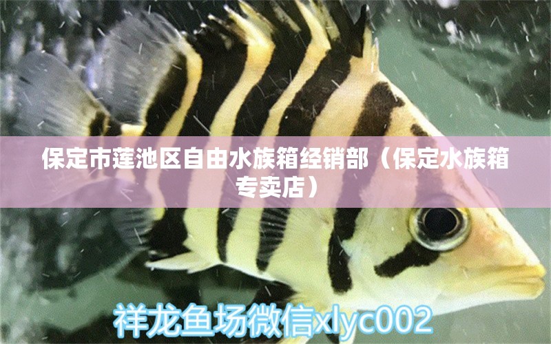 保定市蓮池區(qū)自由水族箱經(jīng)銷部（保定水族箱專賣店） 魚(yú)缸/水族箱