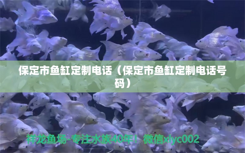 保定市魚缸定制電話（保定市魚缸定制電話號碼） 其他品牌魚缸