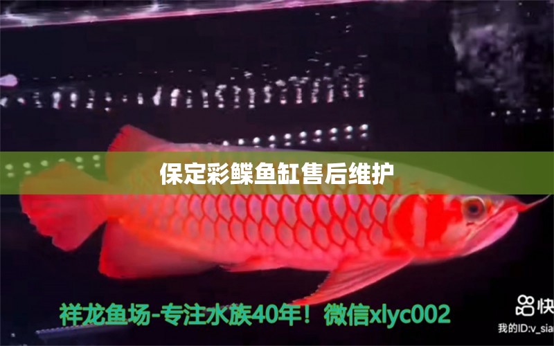 保定彩鰈魚(yú)缸售后維護(hù)