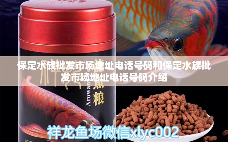 保定水族批發(fā)市場地址電話號碼和保定水族批發(fā)市場地址電話號碼介紹 觀賞魚水族批發(fā)市場