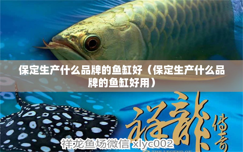 保定生產(chǎn)什么品牌的魚缸好（保定生產(chǎn)什么品牌的魚缸好用）