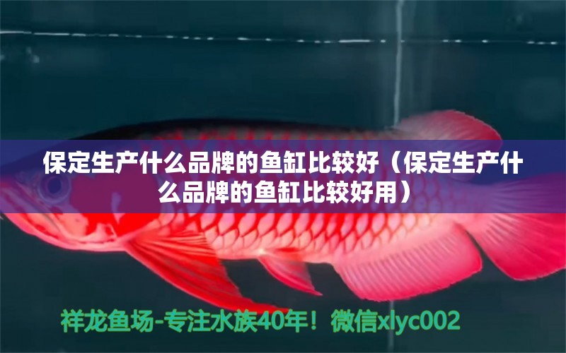 保定生產(chǎn)什么品牌的魚缸比較好（保定生產(chǎn)什么品牌的魚缸比較好用） 其他品牌魚缸 第1張