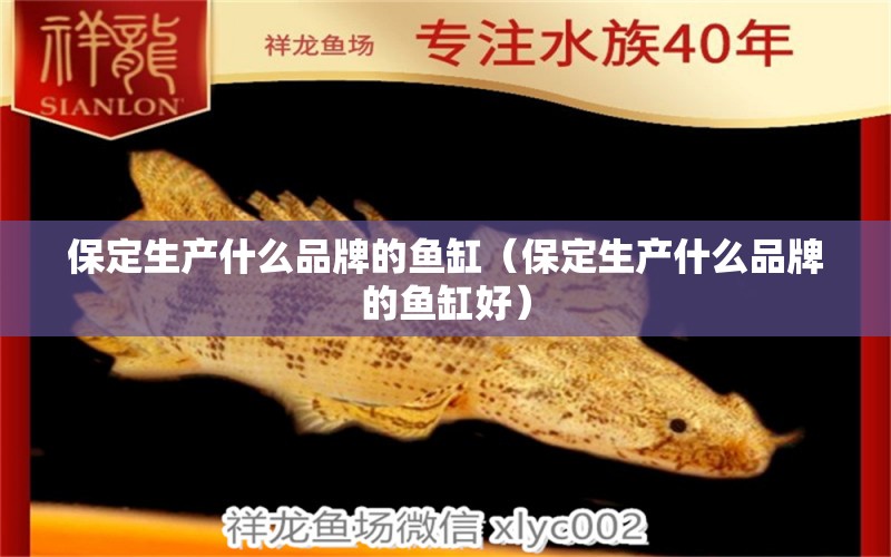 保定生產(chǎn)什么品牌的魚缸（保定生產(chǎn)什么品牌的魚缸好）