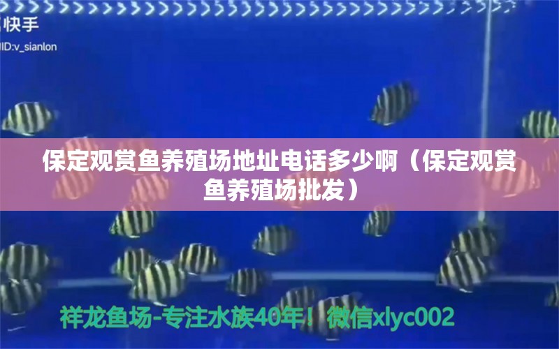 保定觀賞魚(yú)養(yǎng)殖場(chǎng)地址電話多少?。ū６ㄓ^賞魚(yú)養(yǎng)殖場(chǎng)批發(fā)）