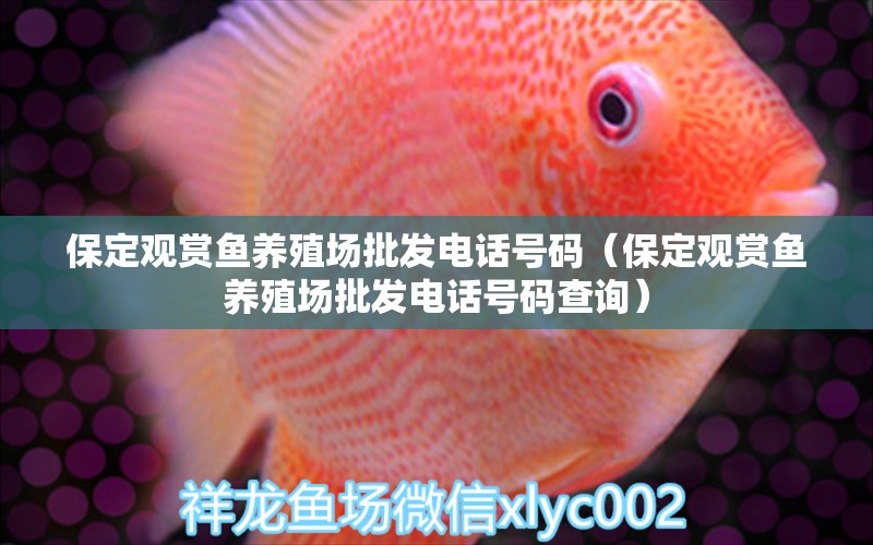 保定觀賞魚養(yǎng)殖場批發(fā)電話號碼（保定觀賞魚養(yǎng)殖場批發(fā)電話號碼查詢）