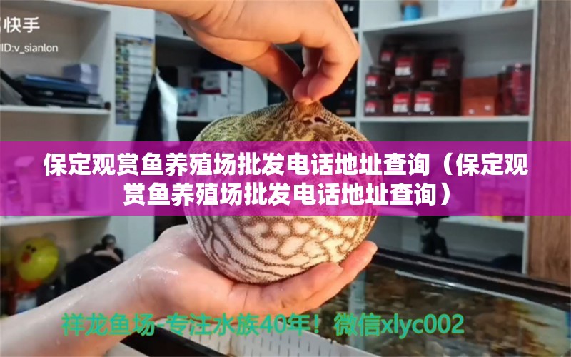 保定觀賞魚養(yǎng)殖場批發(fā)電話地址查詢（保定觀賞魚養(yǎng)殖場批發(fā)電話地址查詢） 彩鰈魚缸（彩蝶魚缸）