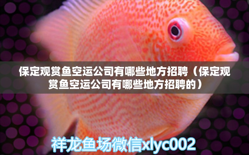 保定觀賞魚(yú)空運(yùn)公司有哪些地方招聘（保定觀賞魚(yú)空運(yùn)公司有哪些地方招聘的） 祥龍水族醫(yī)院