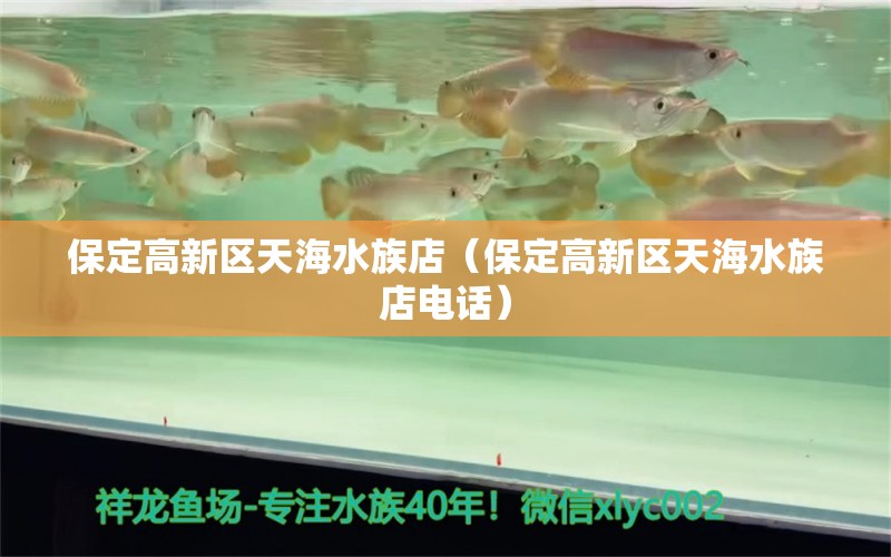 保定高新區(qū)天海水族店（保定高新區(qū)天海水族店電話） 全國水族館企業(yè)名錄