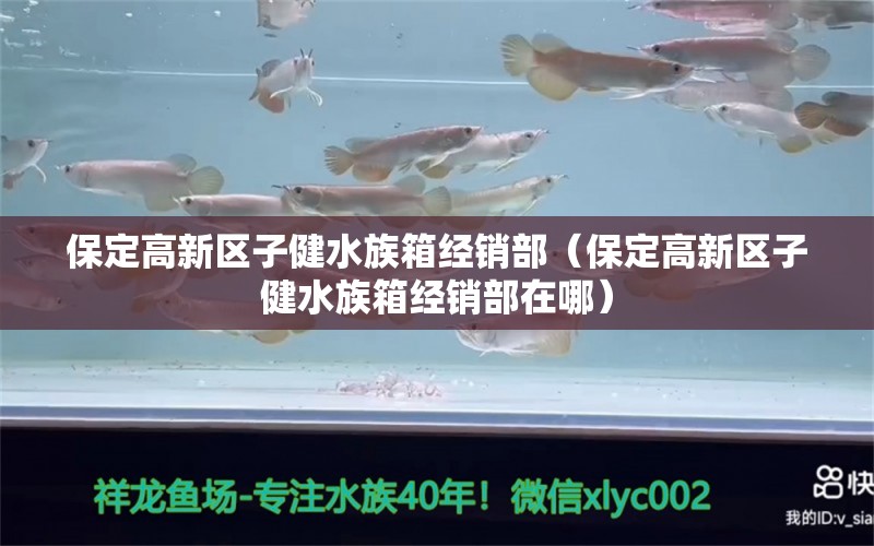 保定高新區(qū)子健水族箱經(jīng)銷部（保定高新區(qū)子健水族箱經(jīng)銷部在哪） 魚缸/水族箱