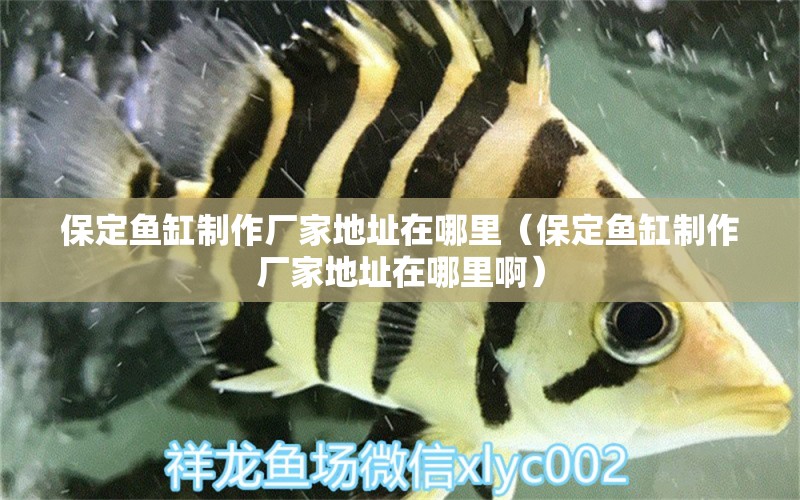 保定魚缸制作廠家地址在哪里（保定魚缸制作廠家地址在哪里?。?其他品牌魚缸